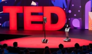 Ted Talks Small Businesses